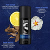 Beardo Darkside Perfume Deo Spray-My Store